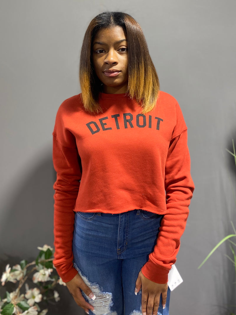 Ink Detroit Cropped Fleece Sweatshirt (Brick)