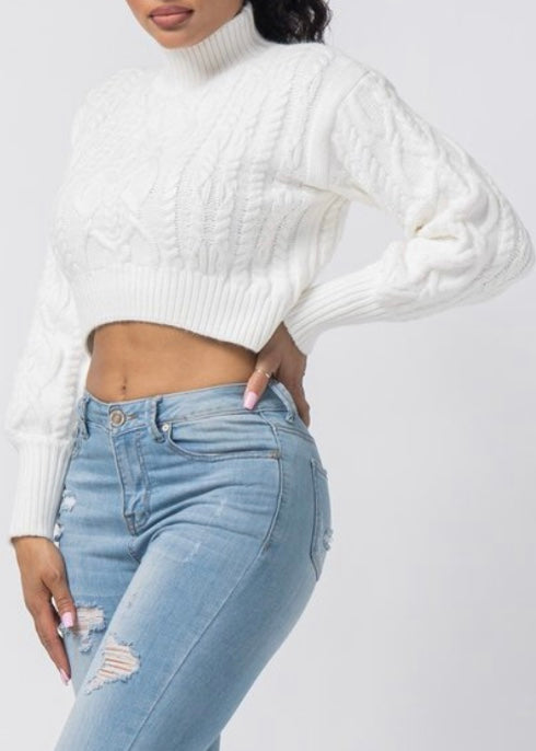 Hera Collection Turtle Neck Crop Cable Sweater (Cream) 22574