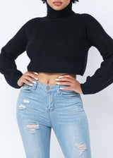Hera Collection  Chevron Turtleneck Sweater (Black)