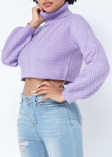 Hera Collection Chevron Turtle Neck Sweater (Lavender) 22563