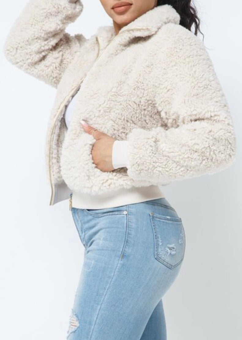 Hera Collection Poodle Jacket (Cream) 22532