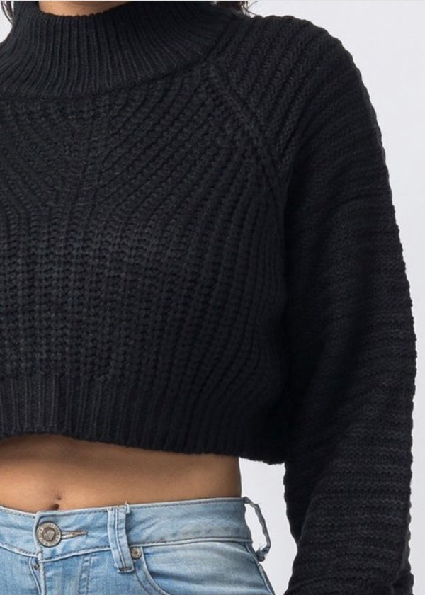 Hera Collection Mock Neck Sweater (Black) 22600